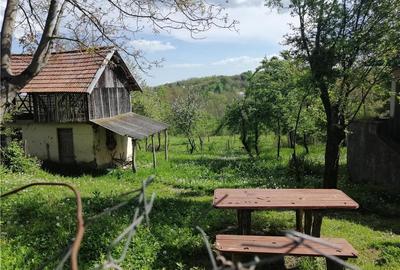 Teren de 5265 mp, în Teișani - 5