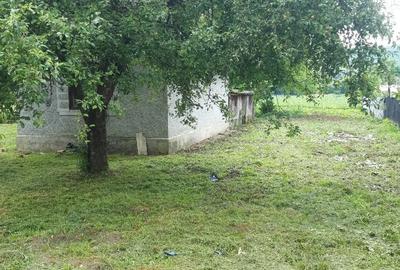 Teren de 3000 mp, în Dumbrăvița - 8