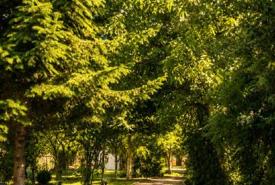 Casă individuală cu 5 camere cu Canalizare în Buciumeni - 2