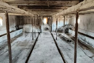 Microferma cu locuinta de vanzare in Pianu de sus - 6