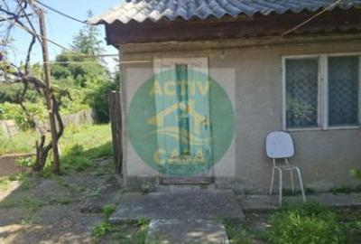Casa de locuit sau dezvoltare business - 7