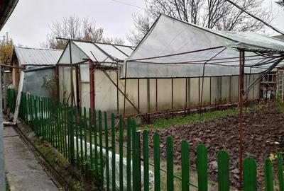 Motaieni, Dambovita - 5