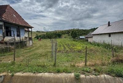 Teren intravilan