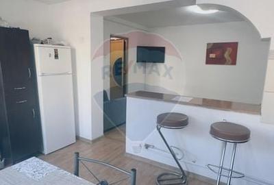Apartament cu 2 camere semidecomandat, mobilat în Brazda lui Novac - 3