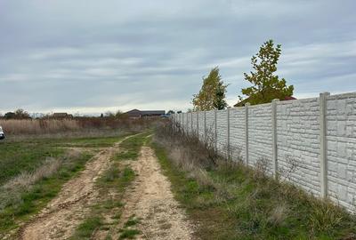 Teren intravilan de 1252 mp, în Piscu - 6