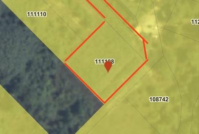 Spațiu comercial, în Venus - 4