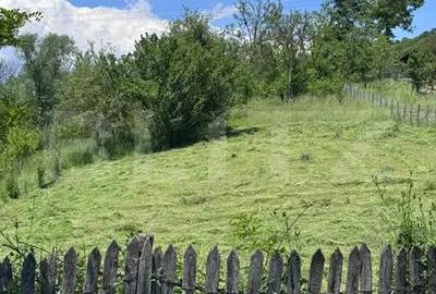 Teren de 1964 mp, în Bezdead - 2