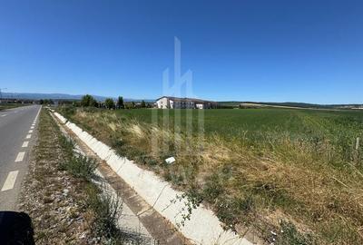 ? Teren 10.000 mp, Șura Mică - Ocna Sibiului | Investiție, COMISION 0%