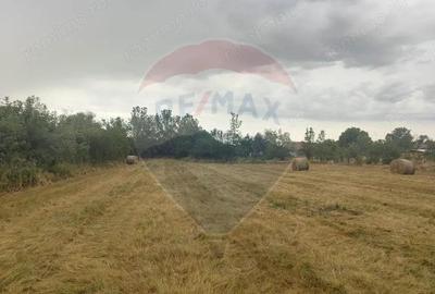 Casa de vanzare in Sinersig - 1