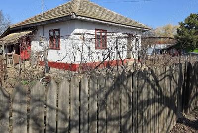 Casă cu 4 camere cu Teren 500 Mp în Bogdana - 1