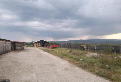 Spațiu comercial, de 21,000 mp, în Central - 5