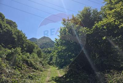 Teren de 4000 mp, în Păscoaia - 26