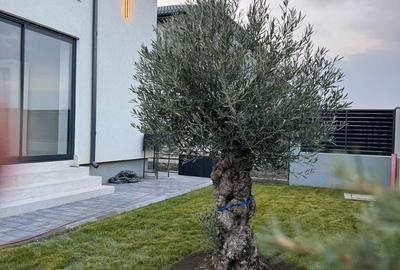 Casă cu 4 camere în Central - 6