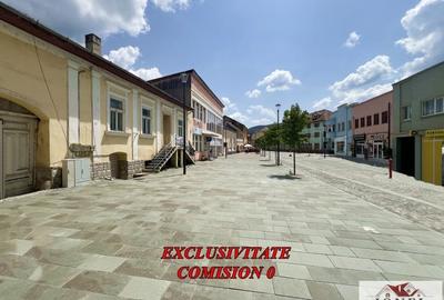 Casă individuală cu 8 camere în Abrud