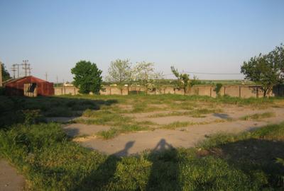 Teren intravilan 15.000 mp cu 3 hale industriale - Poarta Alba - 5