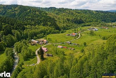 Casă cu 2 camere cu Teren 5425 Mp în Vama Buzăului - 6