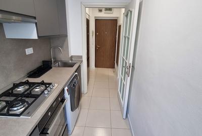 Apartament cu 2 camere semidecomandat în Cișmigiu - 9