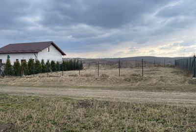 Spațiu comercial, în Curtești - 6