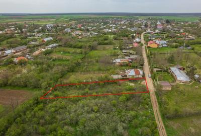 LETCA NOUA, TEREN CONSTRUCTII 1184 MP, FRONT 21 M ! - 5