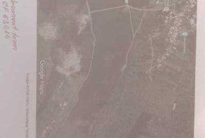 Teren de 10000 mp, în Dumești - 3