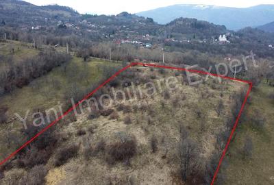 Teren de 14328 mp, în Gruiu (Nucșoara) - 3