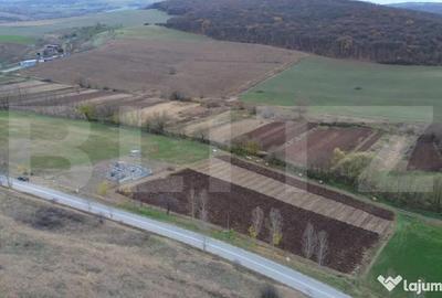 Teren de 2600 mp, în Central - 14