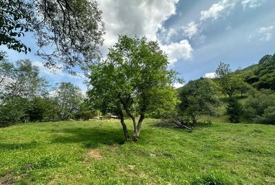 Teren 2 hectare pe Valea Ariesului, zona Scarita-Belioara, pret oportun 2 Eur/mp - 10