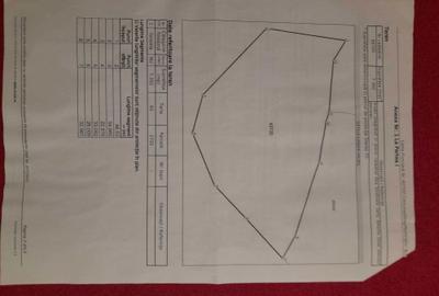 Spațiu comercial, în Tătărăști - 1