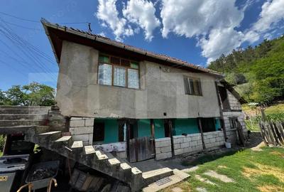 Casa cu 6000 mp teren, Poiana Ampoiului - Metes - 8