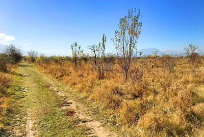 Teren investitie Ghimbav - 2