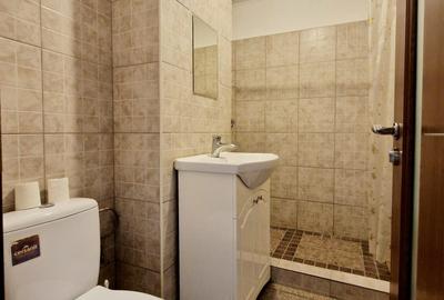 Pantelimon - Morarilor - apartament 2 camere ,modern , mobilat utilat - 9