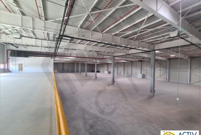 Hale moderne de inchiriat in Villar Logistics Park Bucharest West - 5