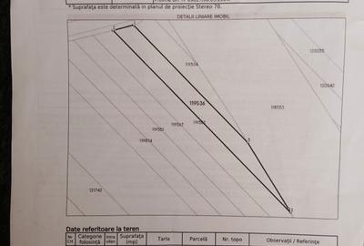 Teren de 2500 mp, în Exterior Vest - 4