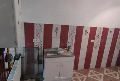 Apartament cu 2 camere în Badea Cârțan - 20