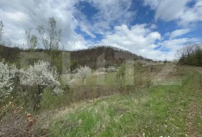 Teren de 19015 mp, în Central - 1