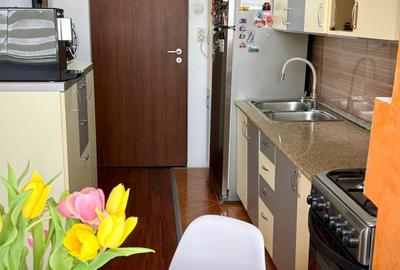 Vanzare apartament Grivitei mobilat - 3