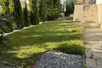 Casă cu 3 camere cu Teren 307 Mp în Făget - 2