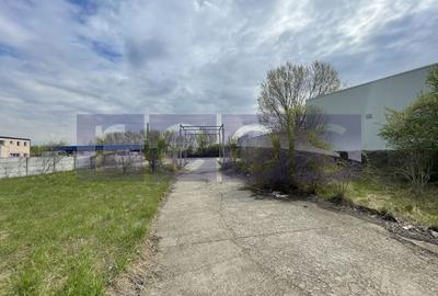 Spațiu industrial, de 19,300 mp, în Odăi - 30