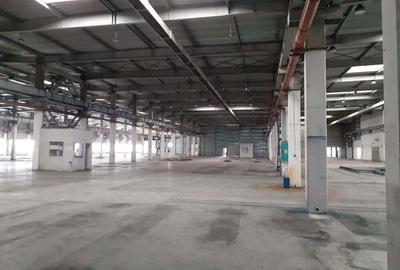 Spațiu comercial, de 20,000 mp, în Timișoara - 20