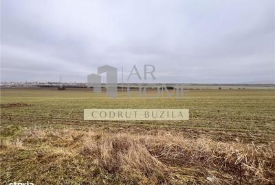 Spațiu comercial, în Bucov - 1
