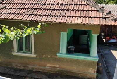 Casă cu 3 camere în Orevița Mare - 3