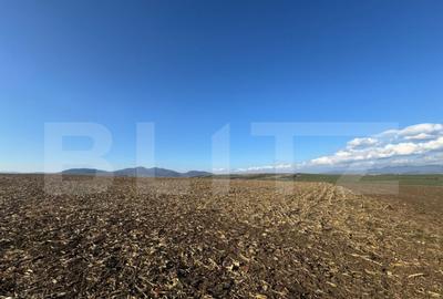 Teren extravilan agricol 5700 mp, Cristur - 3