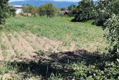 Teren de 3400 mp, în Jupa - 2