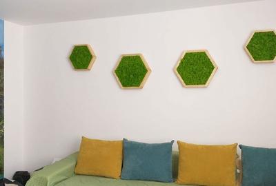 Apartament cu 2 camere în Ghencea - 10