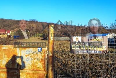 Teren Construcții intravilan de 3129 mp, în Homocea - 1