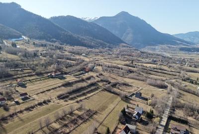 Teren Construcții intravilan de 4043 mp, în Predeluț - 28