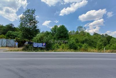 Resita, Terenuri Intravilane 2000 Mp., 28 Euro/Mp., Calea Ca - 16