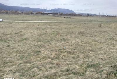 Teren de 5500 mp, în Dârste - 2