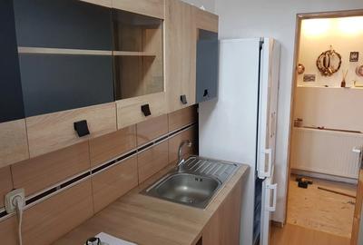 Apartament 2 camera in vila - 1