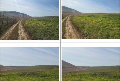 Teren extravilan sat Mineri, ID: R2376975 - 9